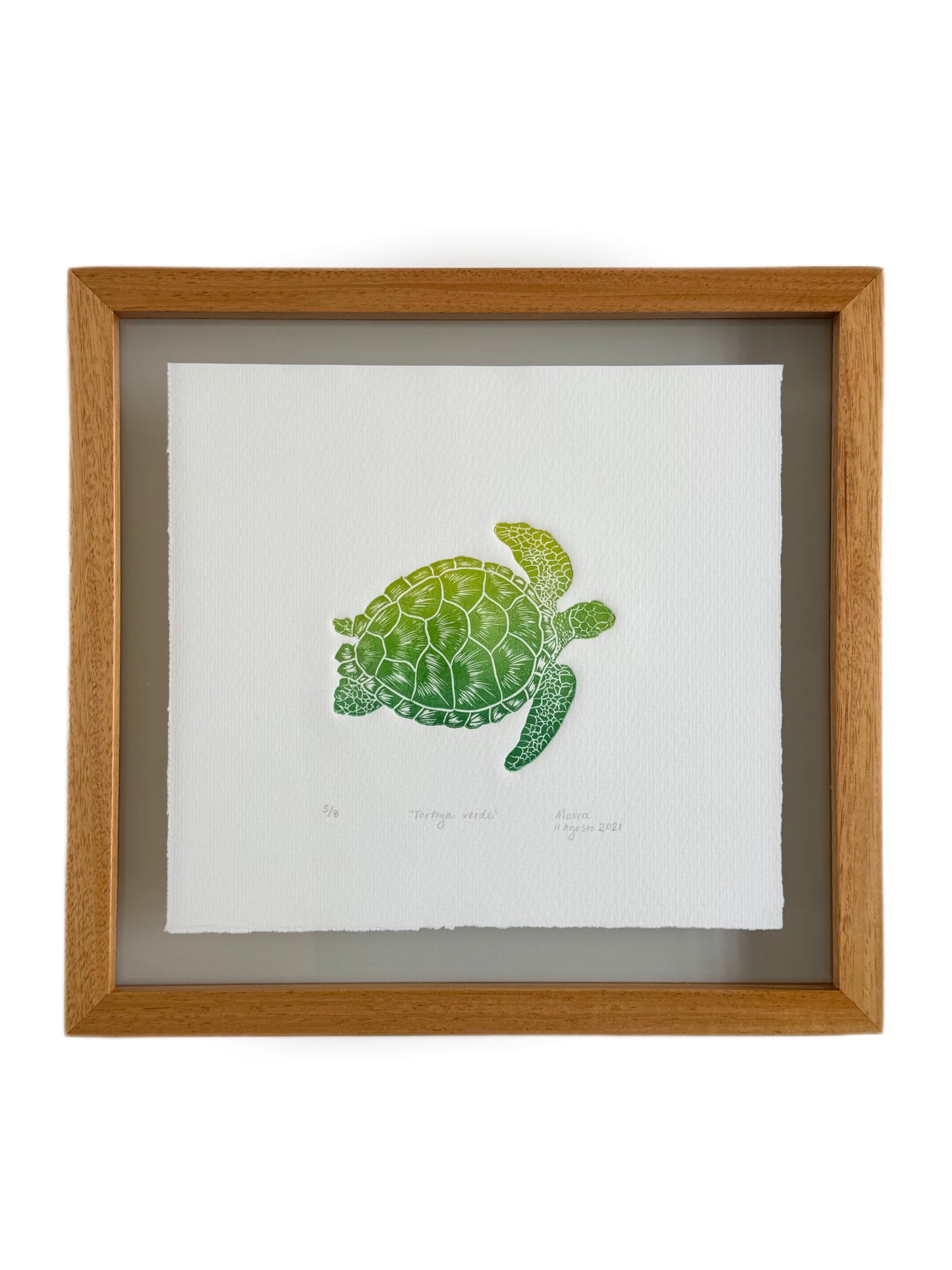 Green turtle