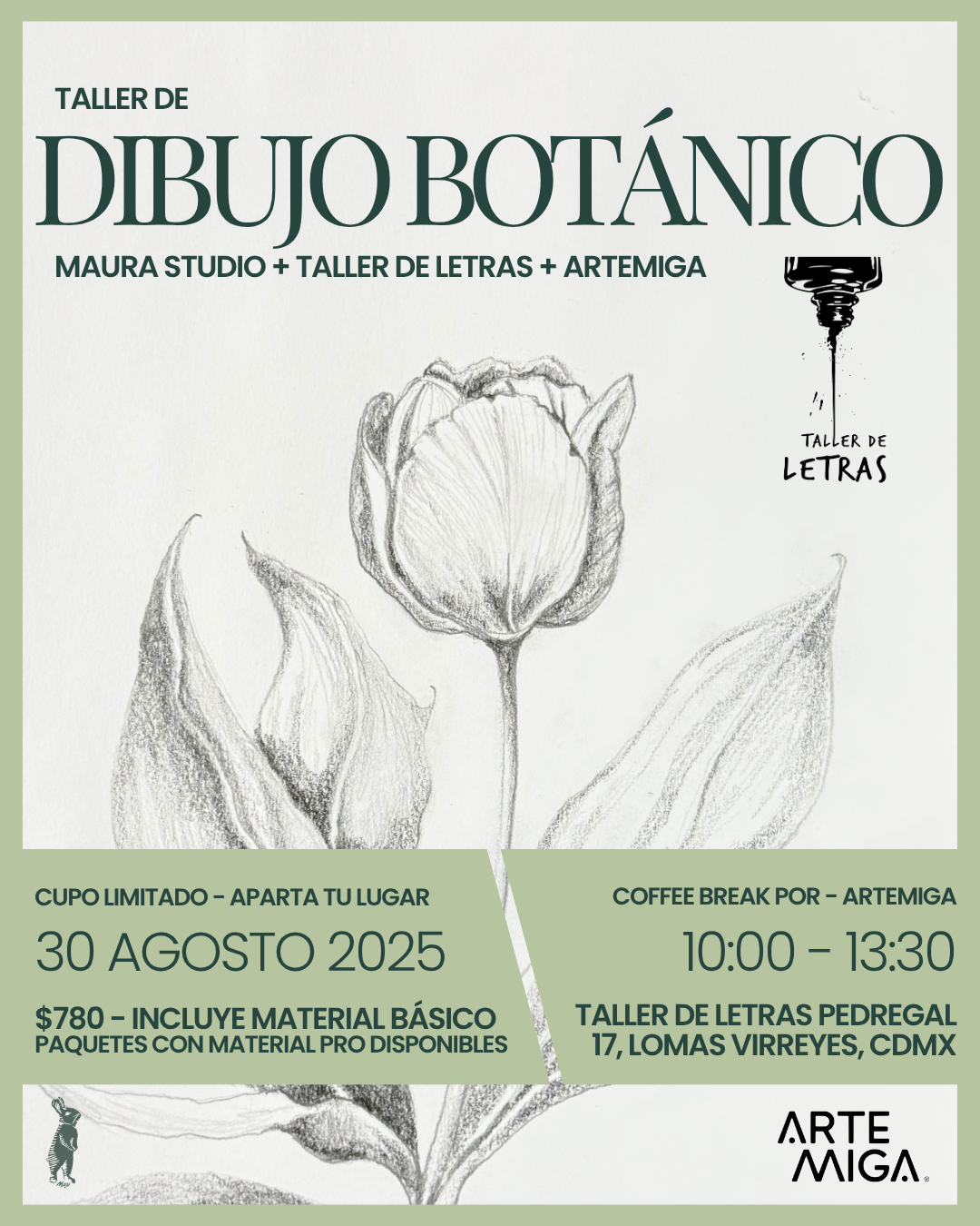 Taller de Dibujo Botánico - 30 de Agosto 2025