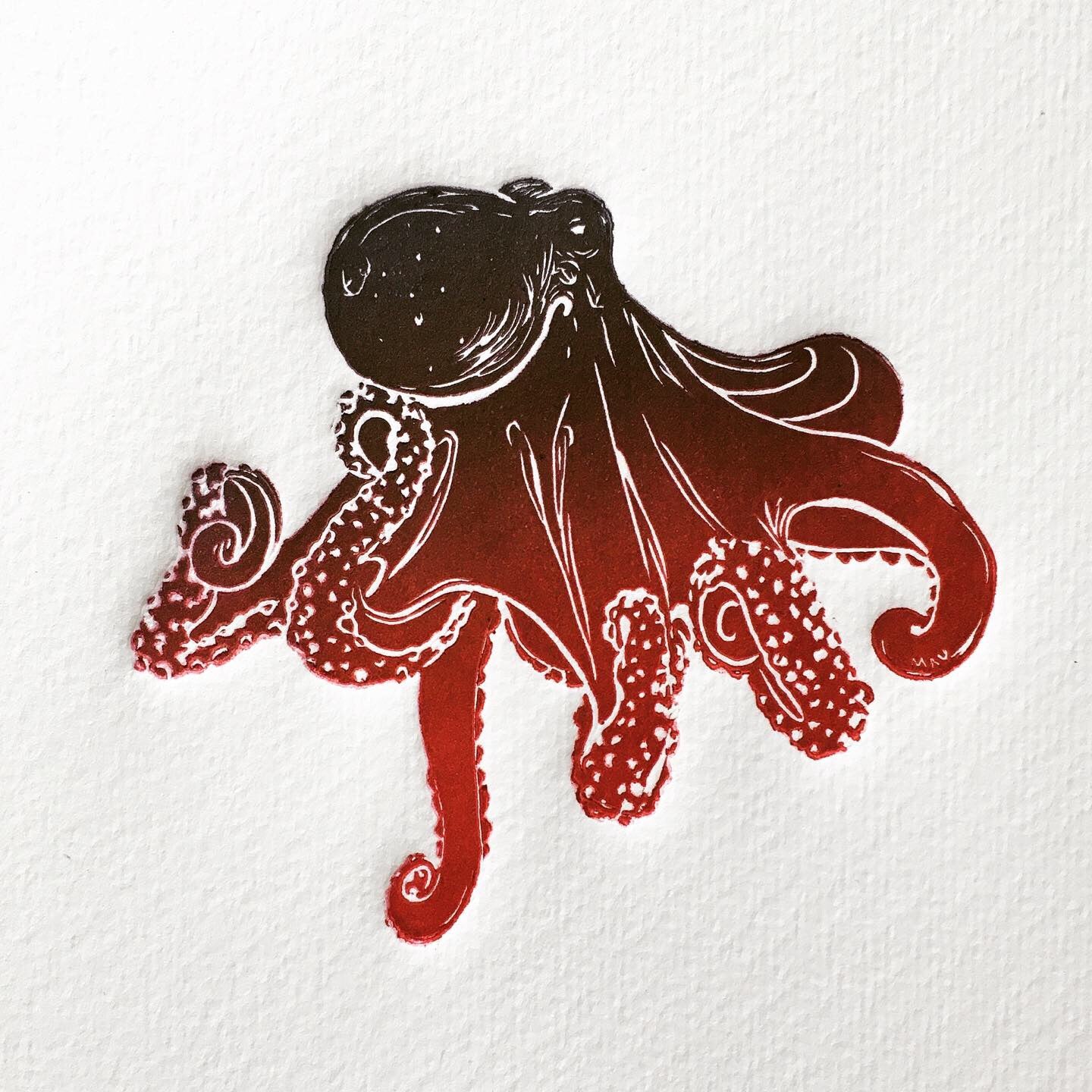 Octopus