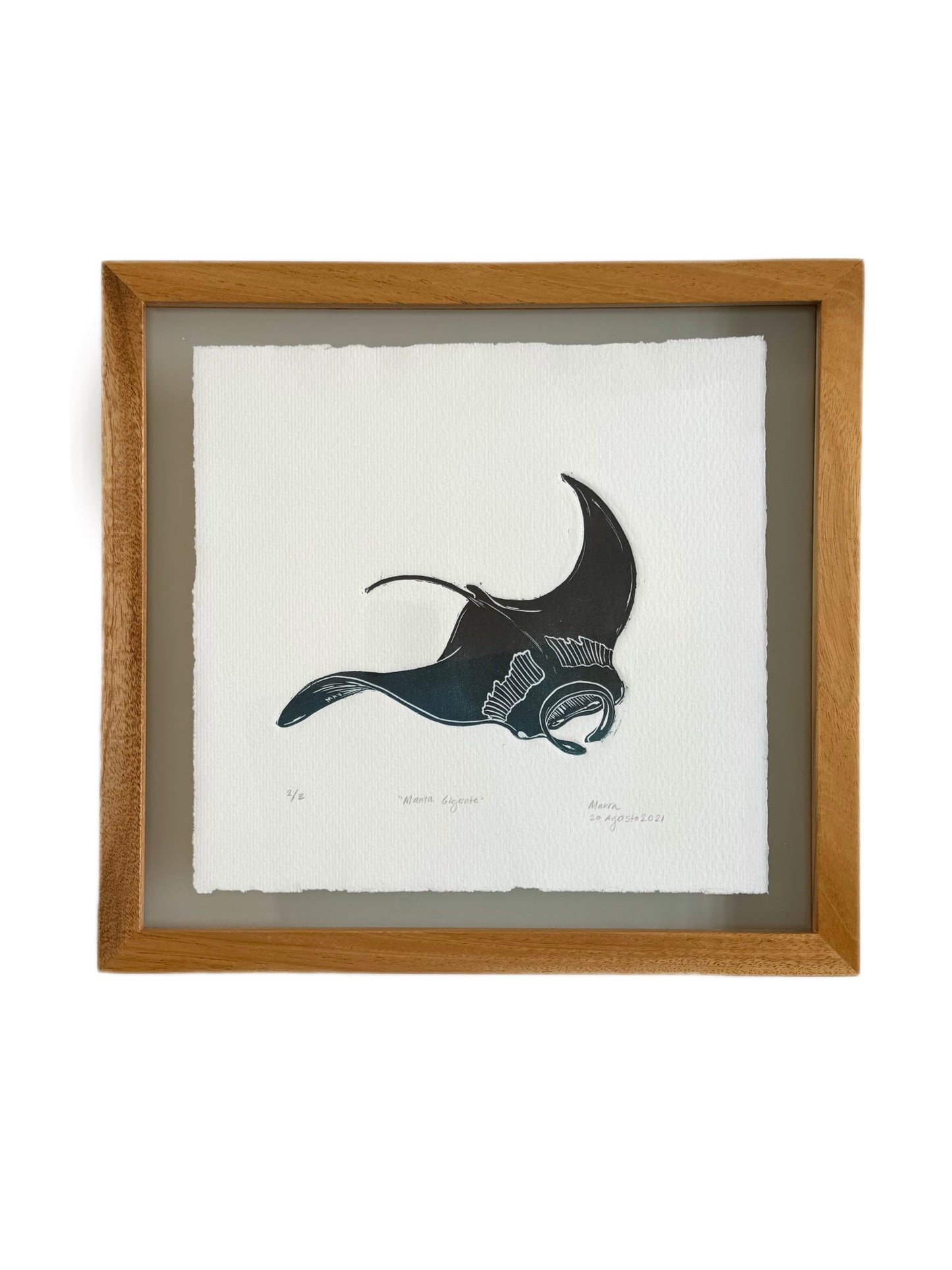Giant manta ray