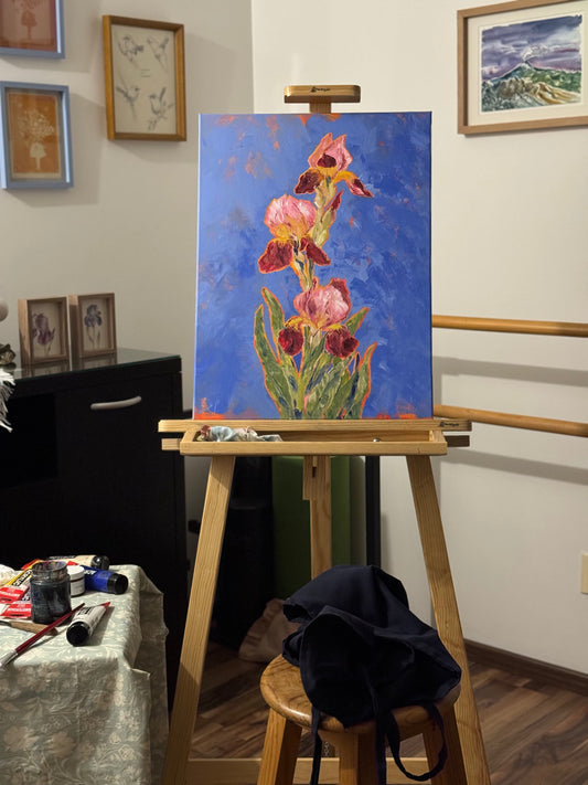 Iris de verano