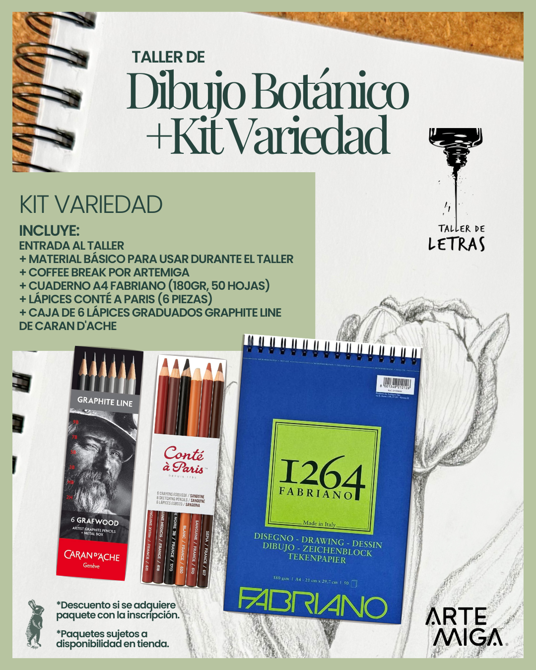 Taller de Dibujo Botánico - 30 de Agosto 2025