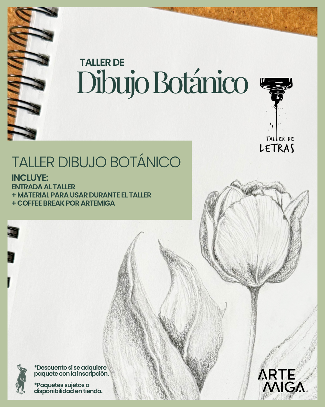 Taller de Dibujo Botánico - 30 de Agosto 2025