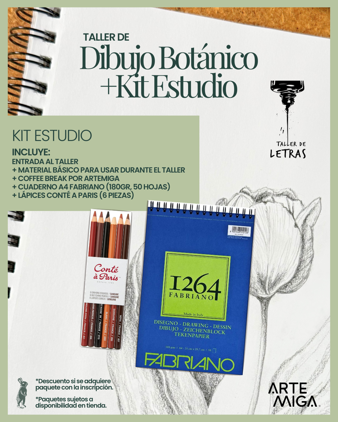 Taller de Dibujo Botánico - 30 de Agosto 2025