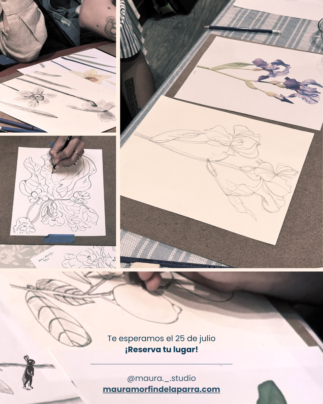 Taller Dibujando Flores 26 julio 2026