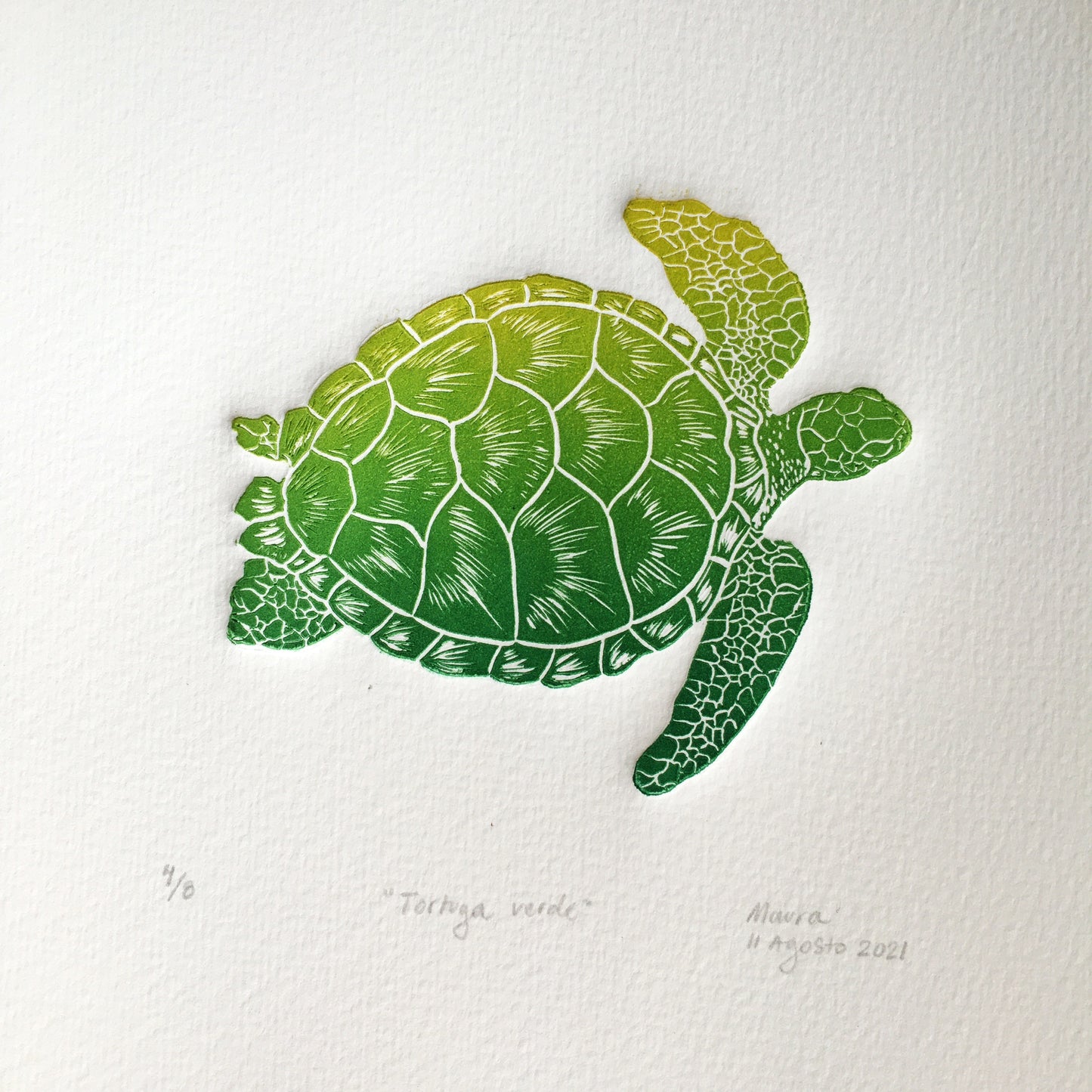 Green turtle