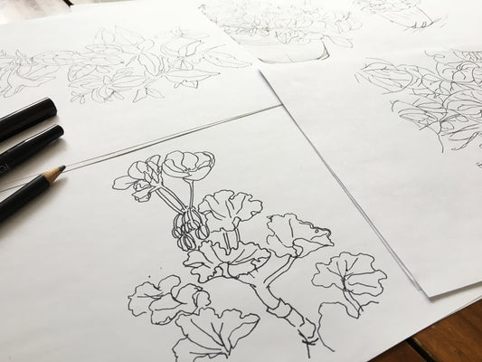 Clase en línea de Dibujo Básico