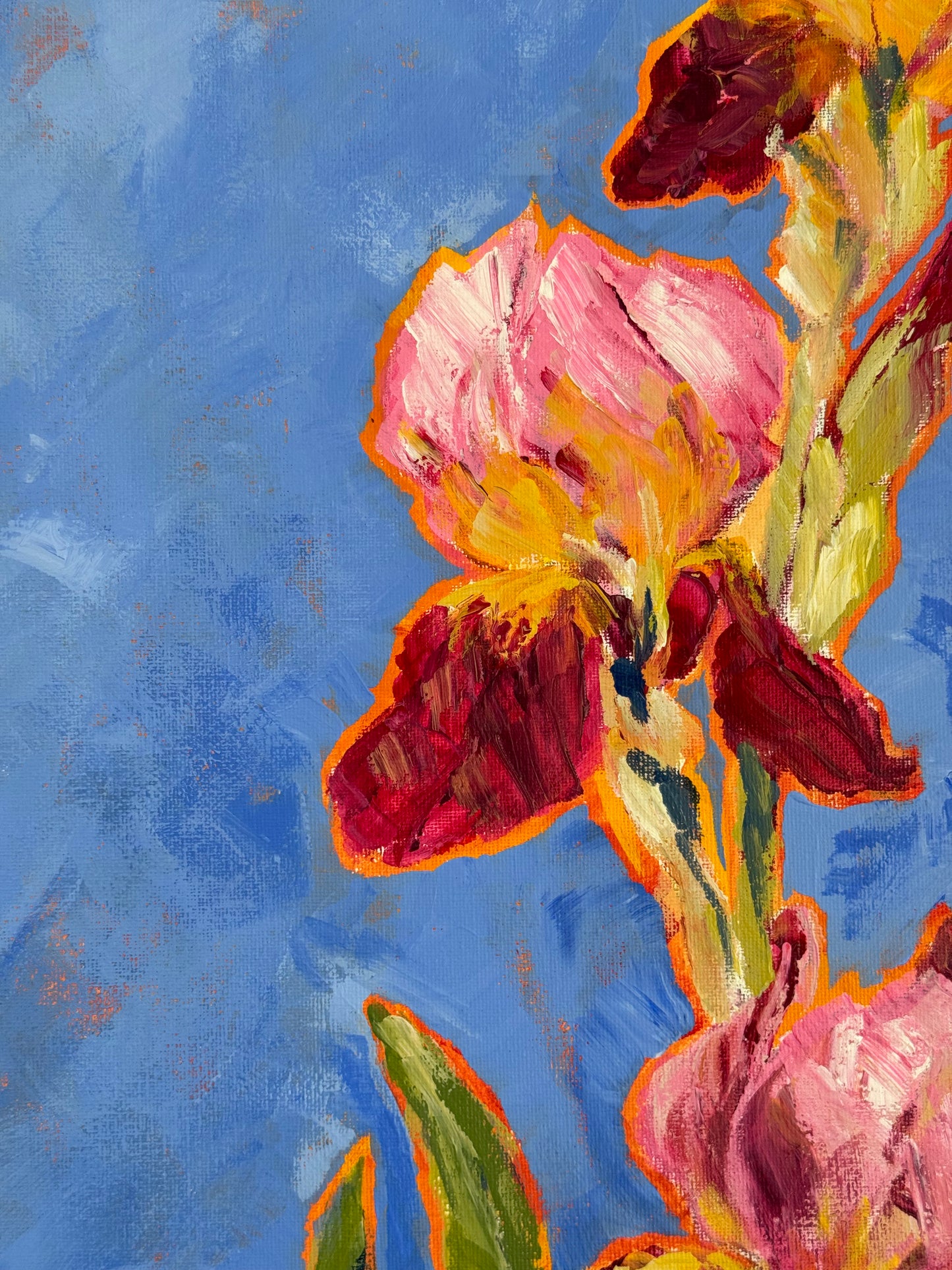 Iris de verano