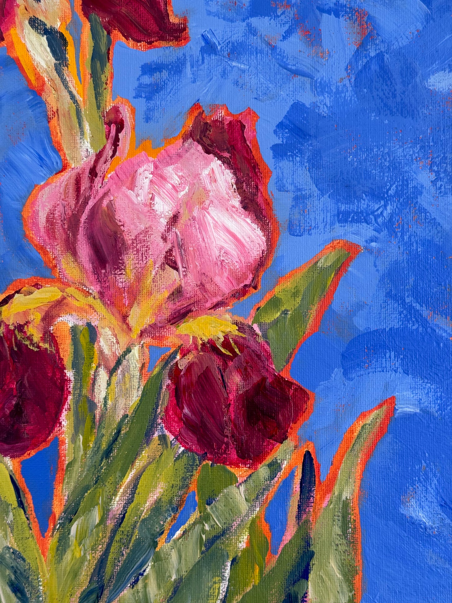 Iris de verano