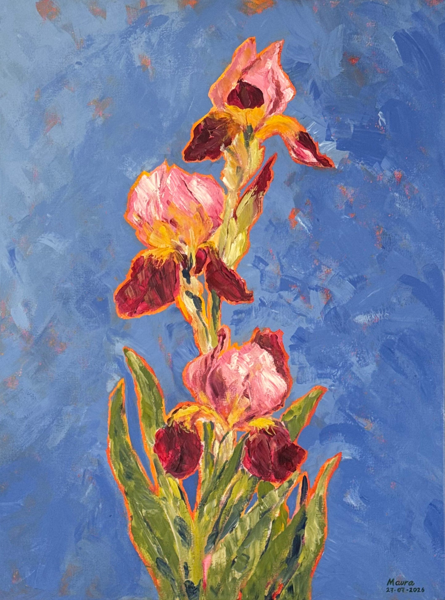 Iris de verano