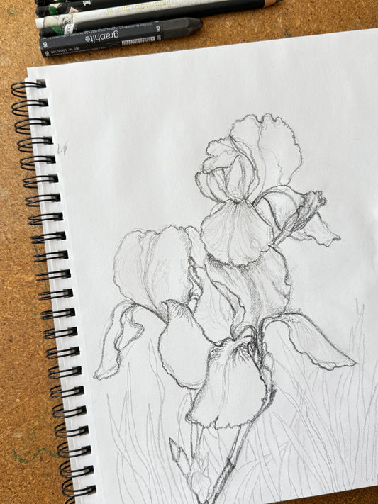 Clase en línea de Dibujo Avanzado