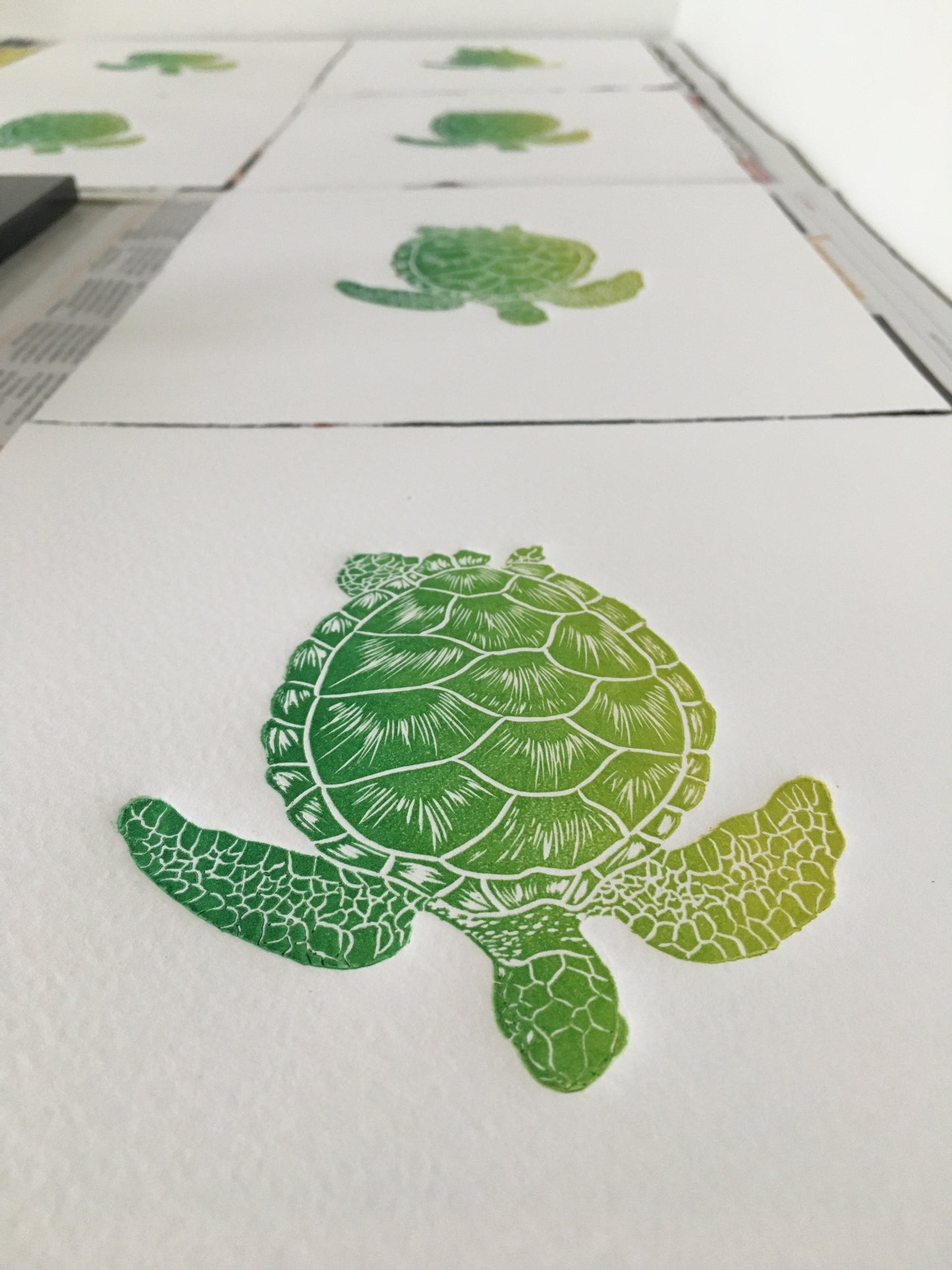 Tortuga verde